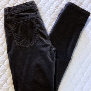 Ann Taylor Velvet Skinny Pants